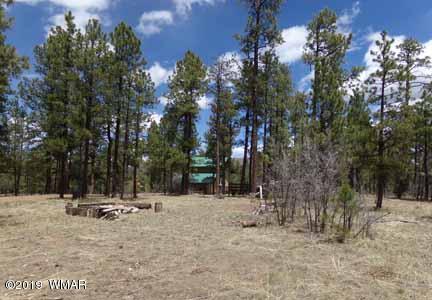 43 County Road Alpine, AZ 85920 - Photo 51 of 51