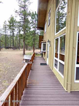 43 County Road Alpine, AZ 85920 - Photo 9 of 51