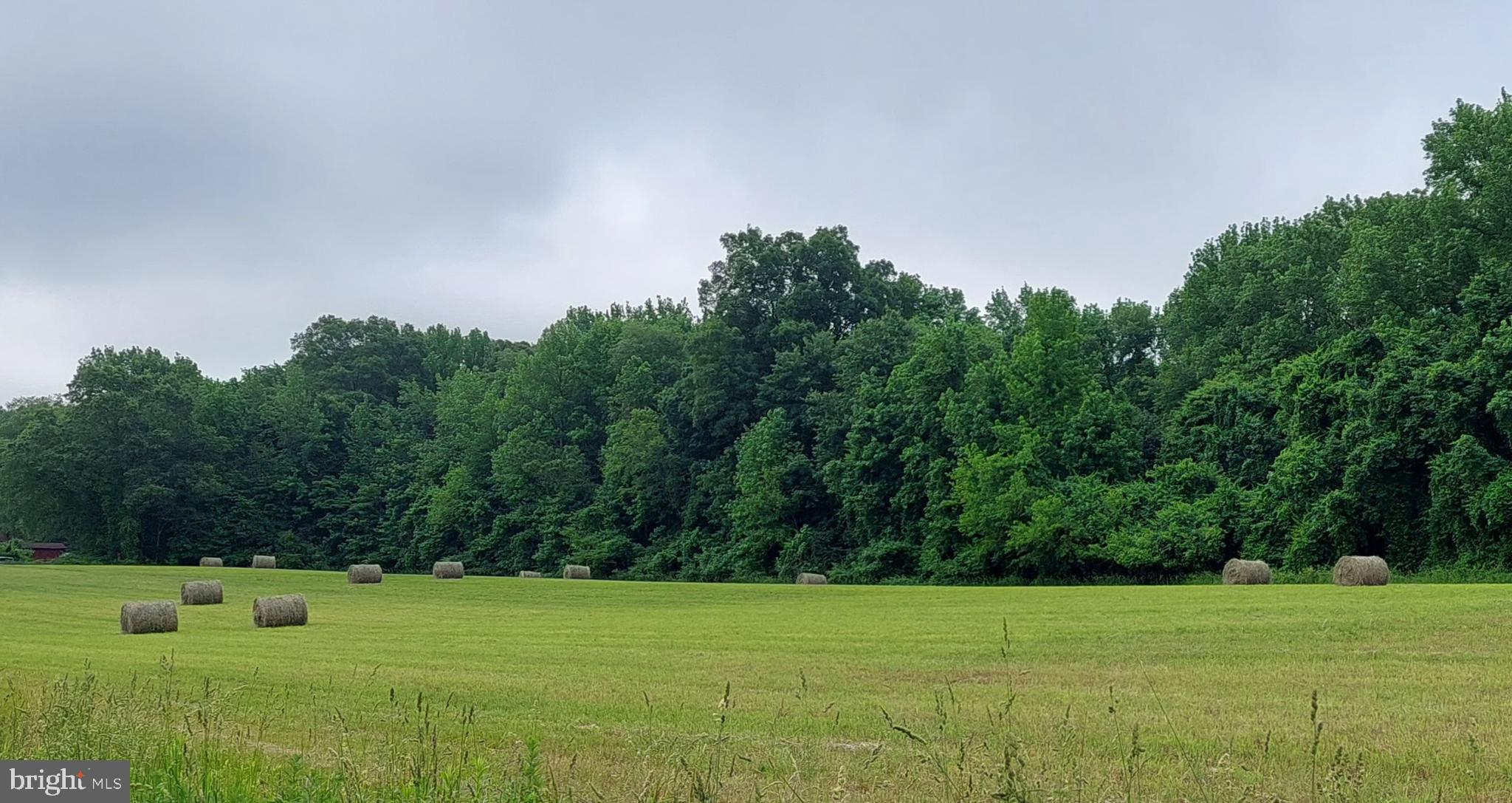 4.02 Ferrell Road Mullica Hill, NJ 08062 - Photo 12 of 13 Gallery Image 12