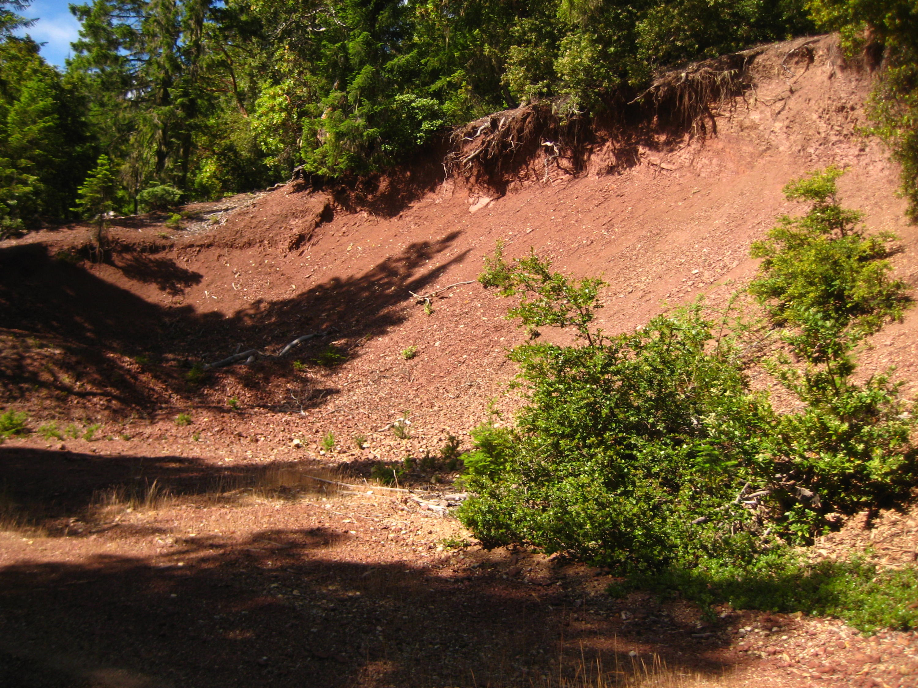 0 West Fs Route Hyampom, CA 96046 - Photo 2 of 8