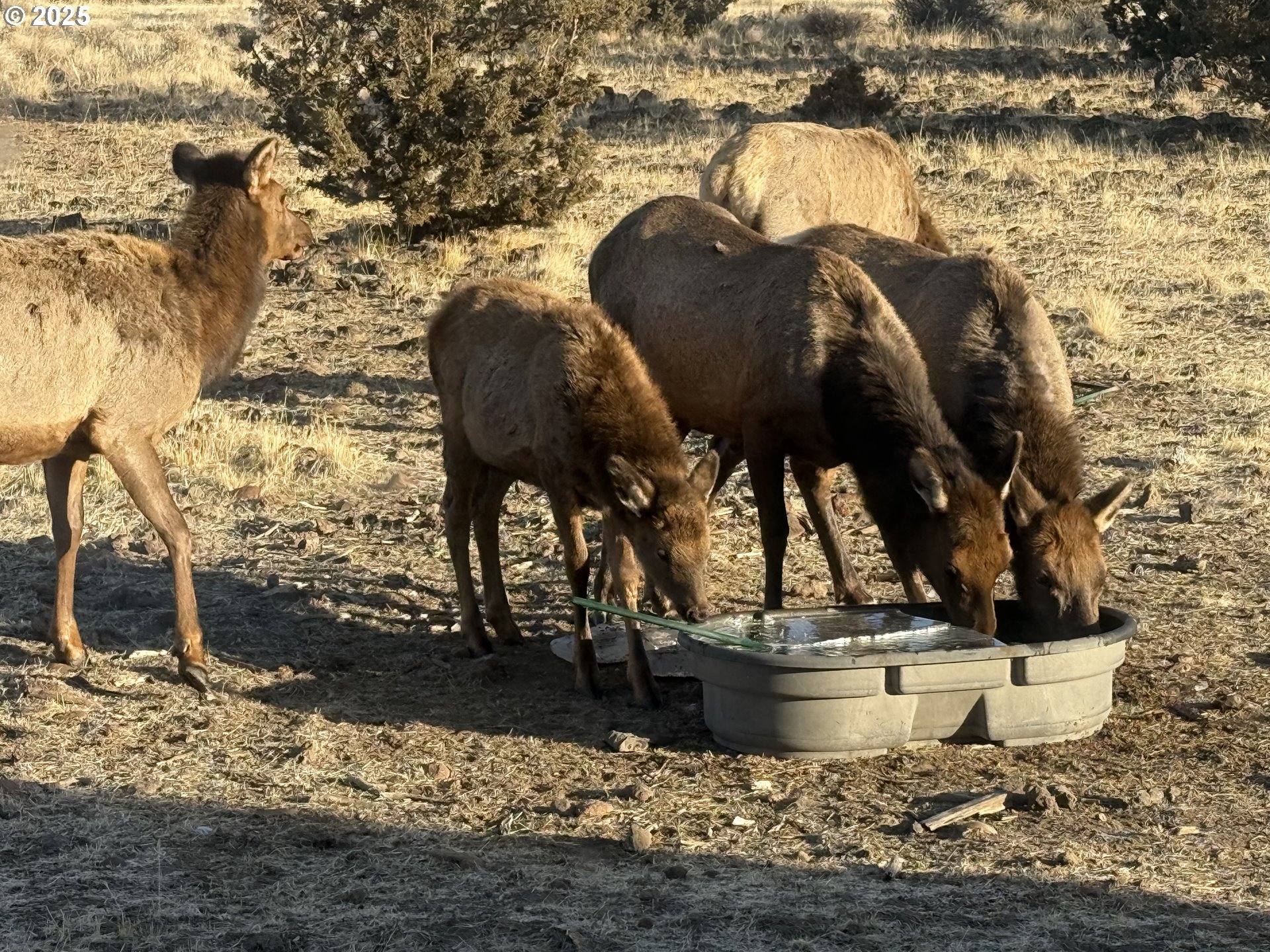12510 Southwest Geneva Road Culver, OR 97734 - Photo 30 of 47