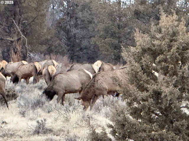 $625,000 | 12510 Southwest Geneva Road, Culver, OR 97734