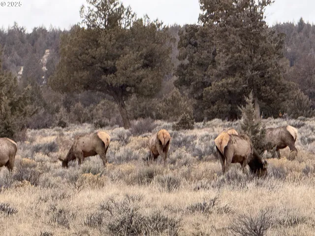 $625,000 | 12510 Southwest Geneva Road, Culver, OR 97734