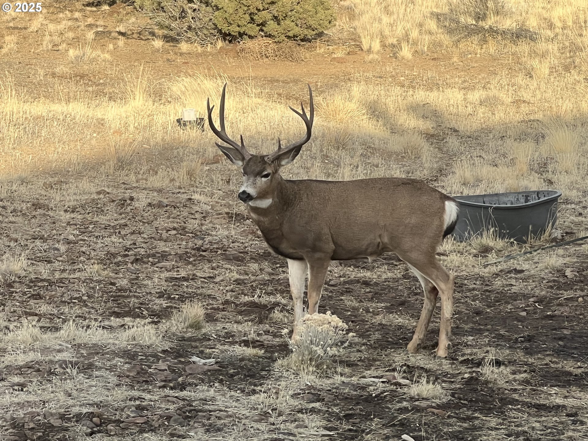 12510 Southwest Geneva Road Culver, OR 97734 - Photo 37 of 47