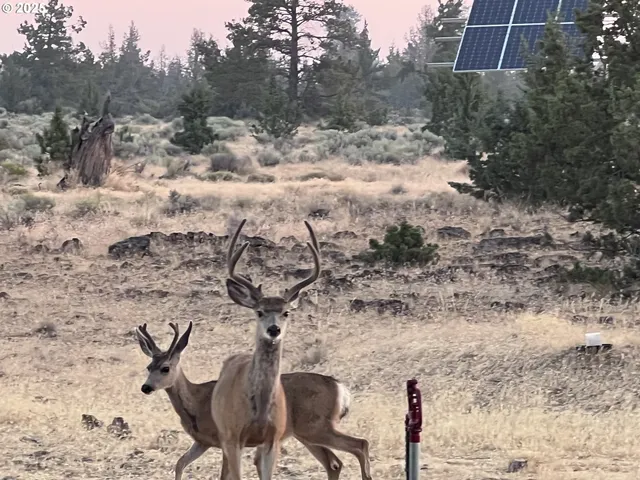 $625,000 | 12510 Southwest Geneva Road, Culver, OR 97734