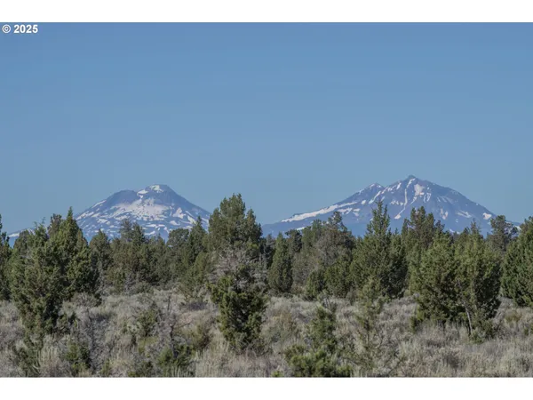 a view of a mountain range with trees in the background