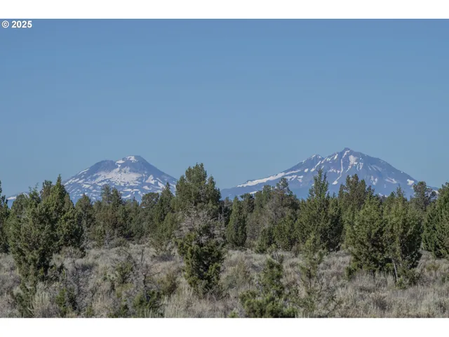 a view of entryway livingroom and hall with wooden floor