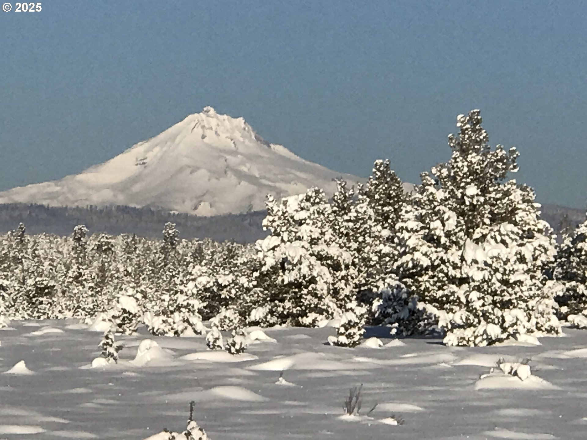 12510 Southwest Geneva Road Culver, OR 97734 - Photo 41 of 47 a view of a garage