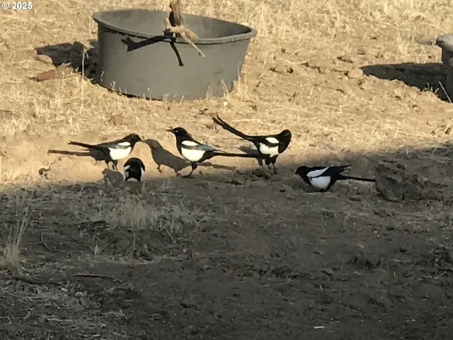 $625,000 | 12510 Southwest Geneva Road, Culver, OR 97734