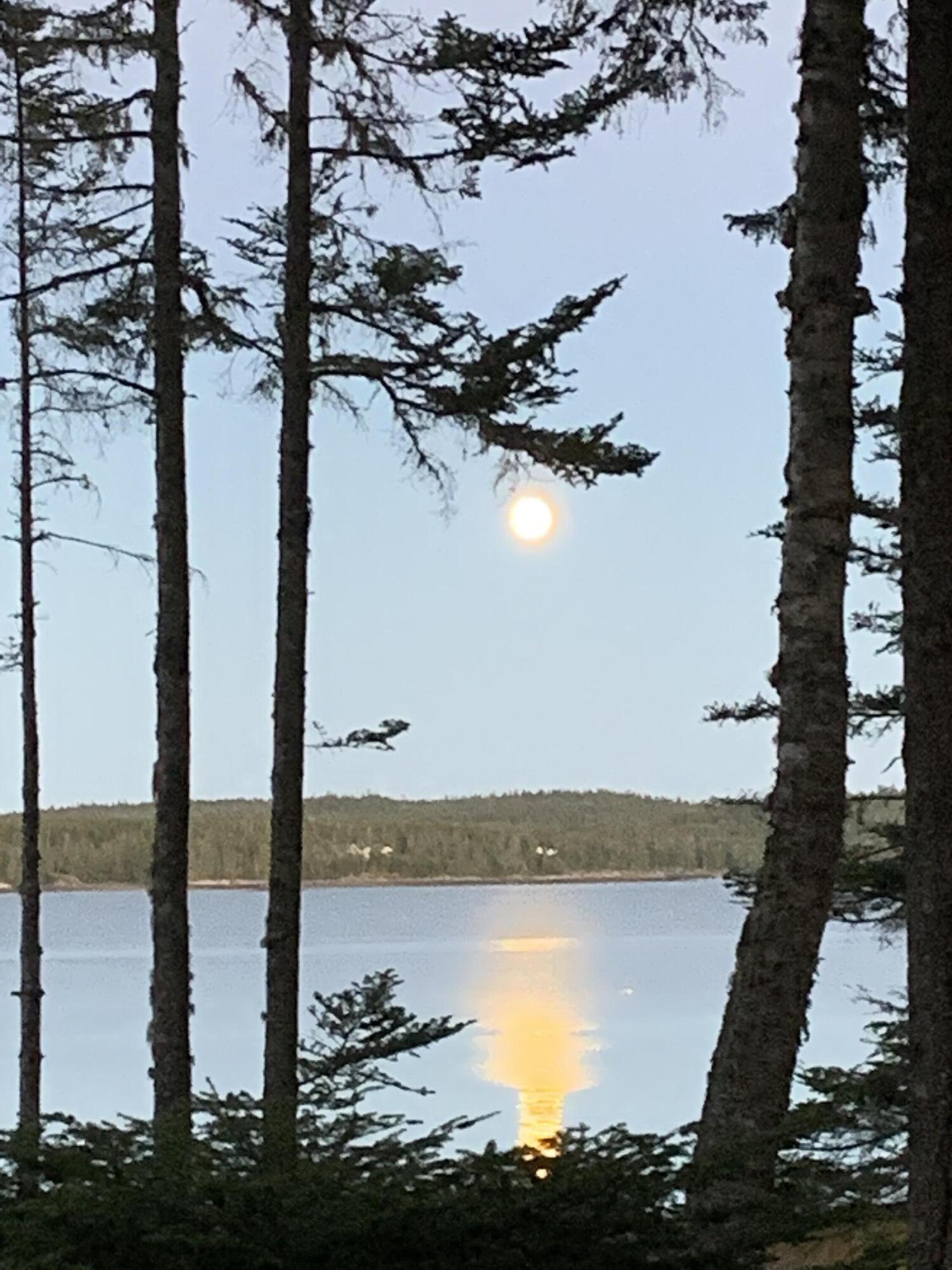 576 Duck Cove Road Roque Bluffs, ME 04654 - Photo 56 of 56 2020 Maine