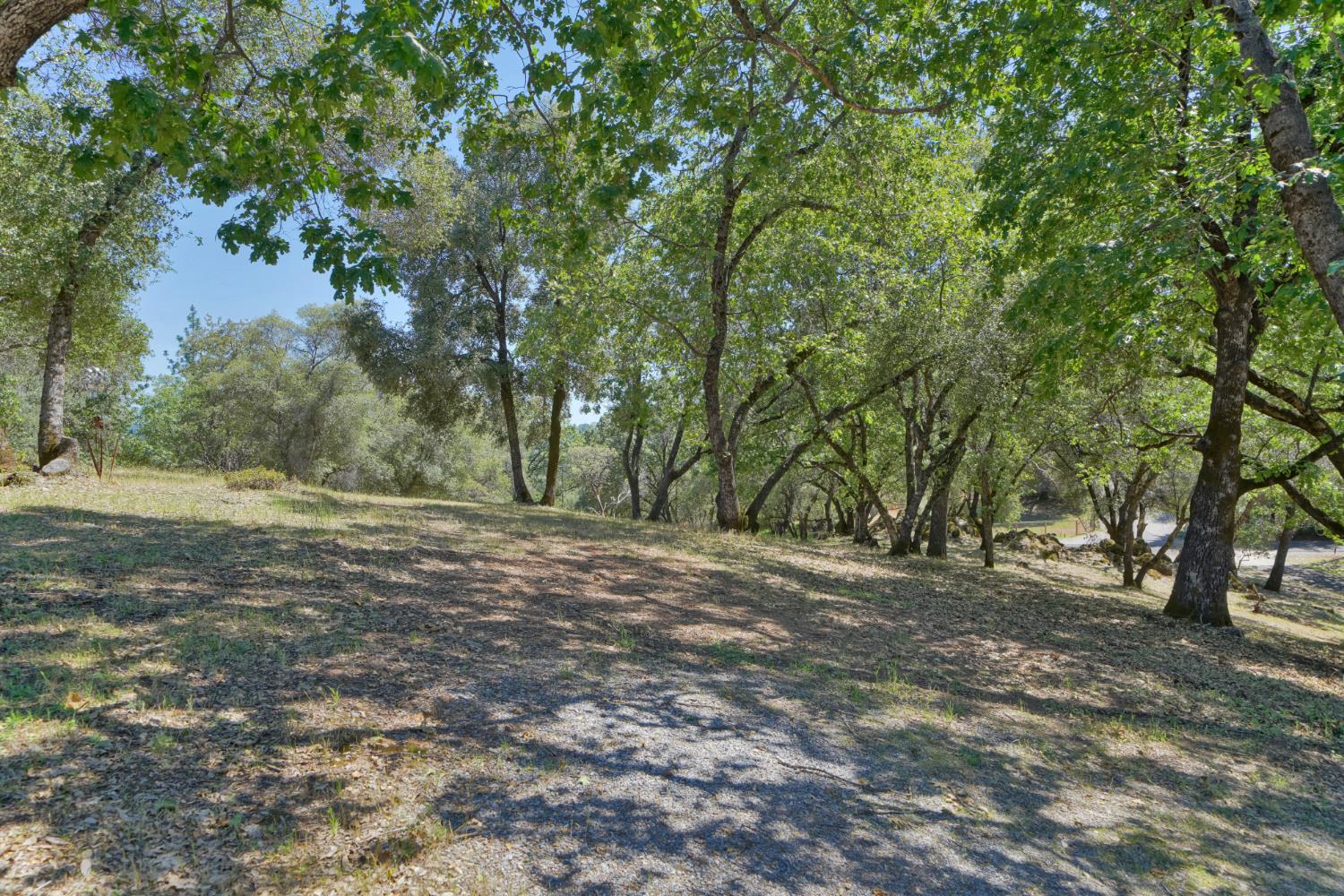 2469 Secret Ravine Trail Cool, CA 95614 - Photo 35 of 80