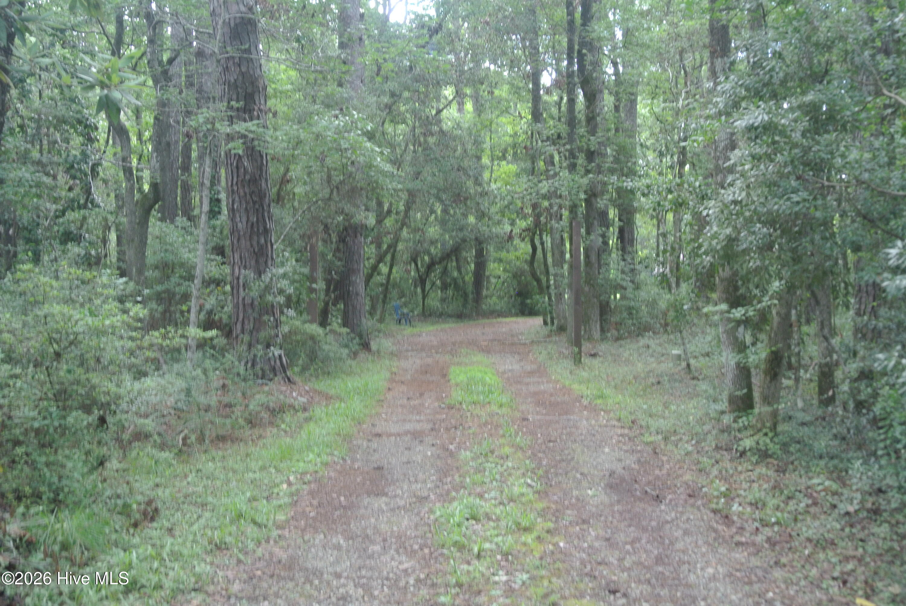 227 Pigott Road Gloucester, NC 28528 - Photo 19 of 59 Gallery Image 19