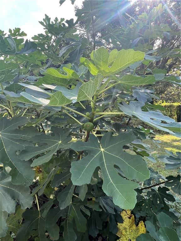 6250 Feldwood Road Atlanta, GA 30349 - Photo 39 of 40