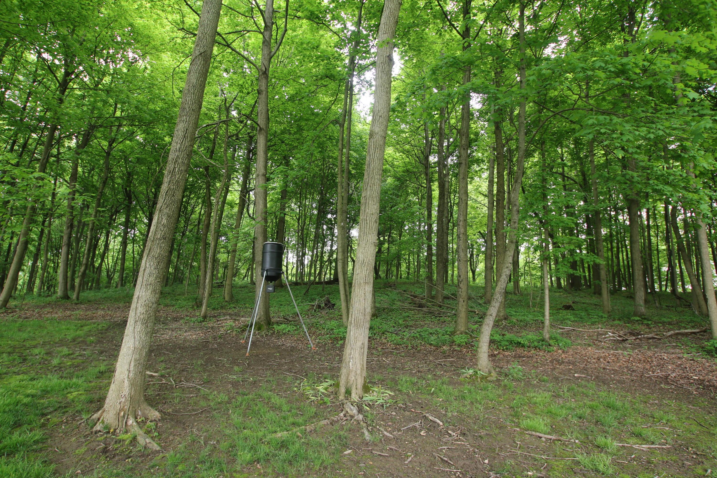 10538 Liberty Chapel Road Mount Vernon, OH 43050 - Photo 16 of 37