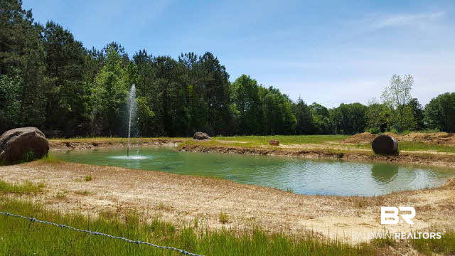 805 Brady Rd Extension Bay Minette, AL 36507 - Photo 14 of 20 Pond
