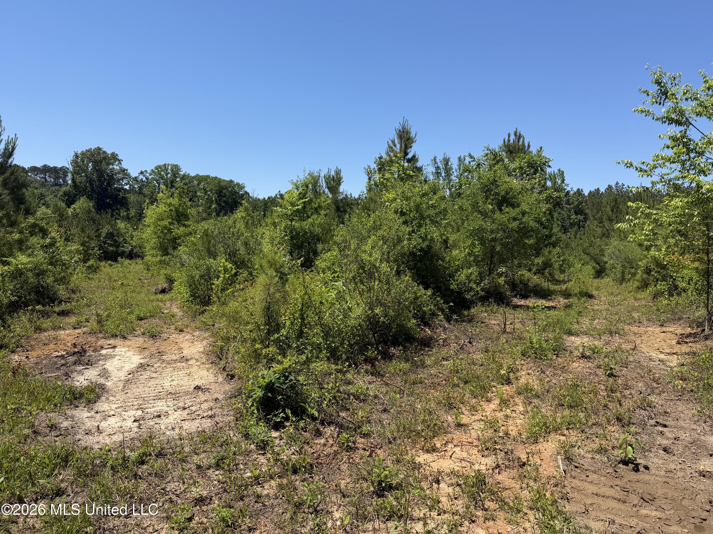 Couparle Road Camden, MS 39045 - Photo 25 of 47 Photo May 12 2026, 2 18 59 PM