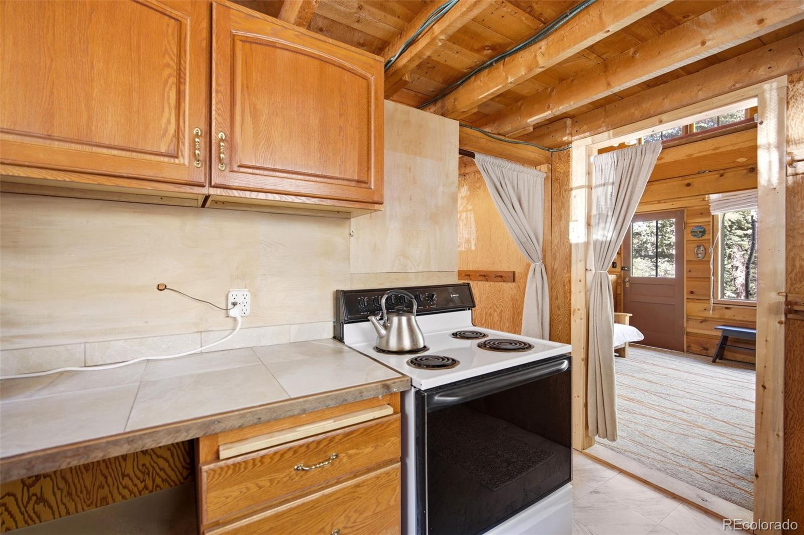 652 Payne Gulch Road Bailey, CO 80421 - Photo 17 of 33