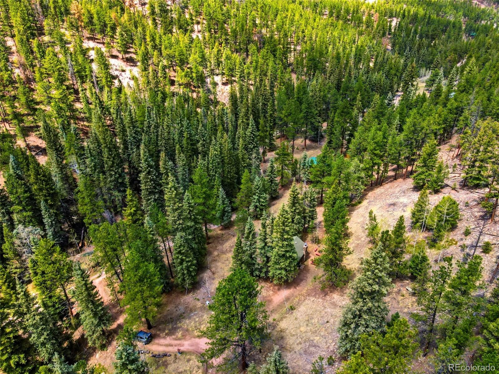 652 Payne Gulch Road Bailey, CO 80421 - Photo 31 of 33 a view of a garden