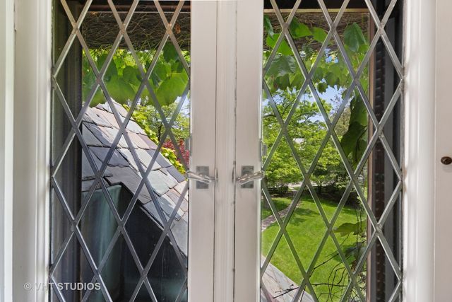 a close up of a plant