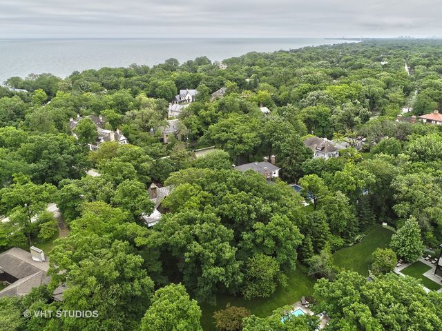 a view of a garden with plants
