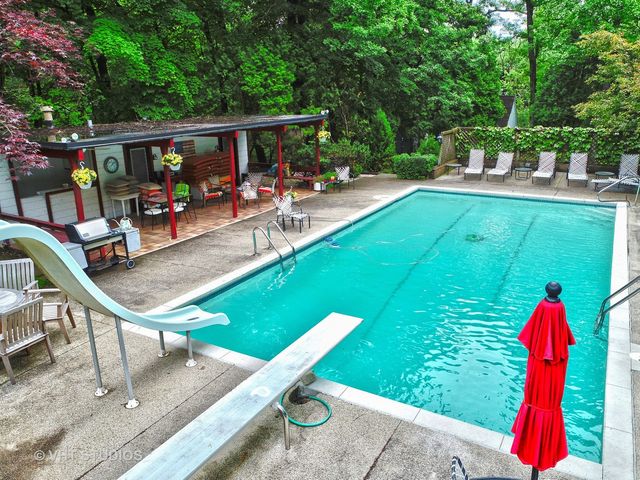 a view of a lush green forest with lawn chairs and plants