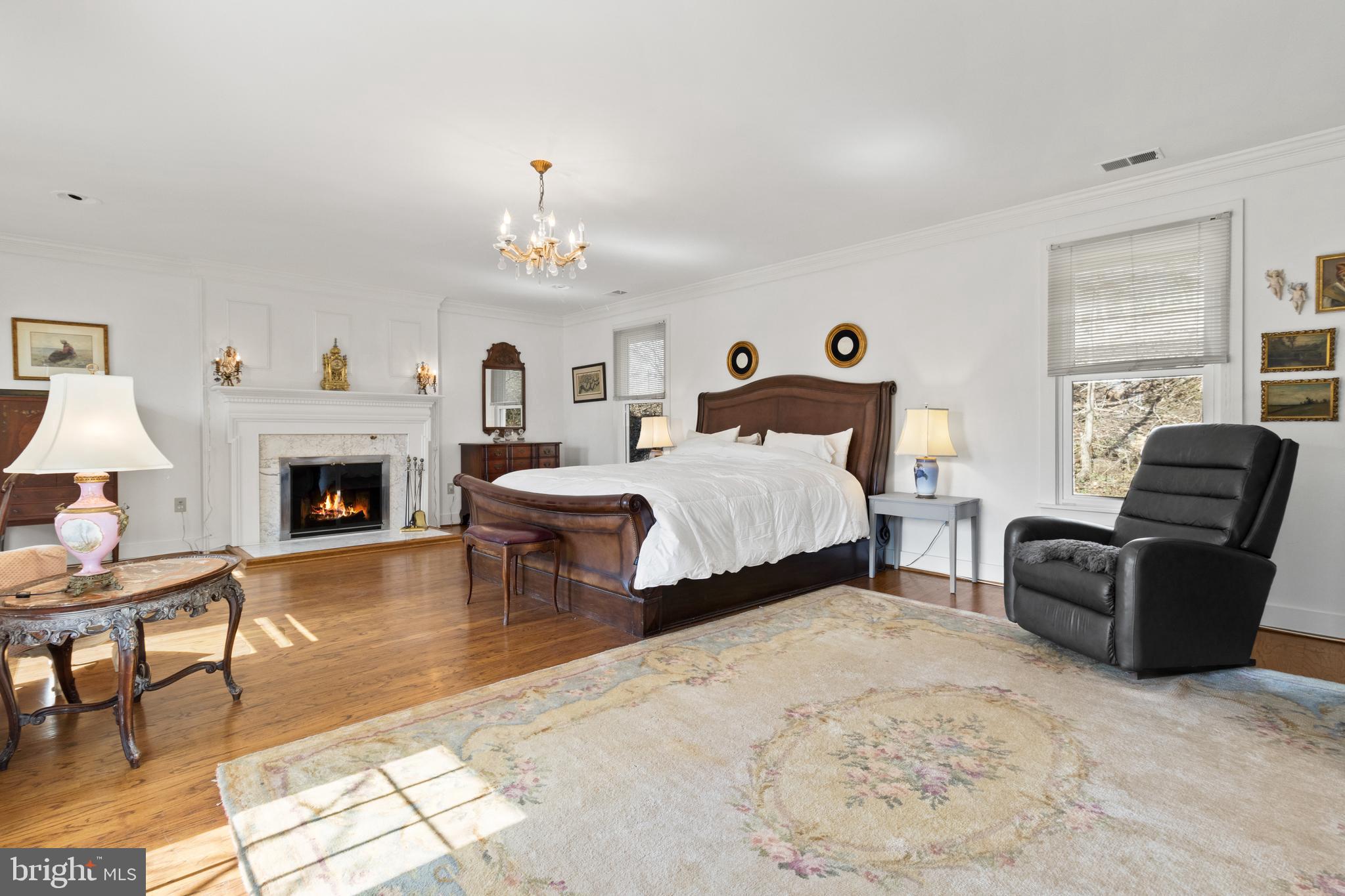 283 Rugby Cove Arnold, MD 21012 - Photo 15 of 28 Main level owner's suite w/ fireplace