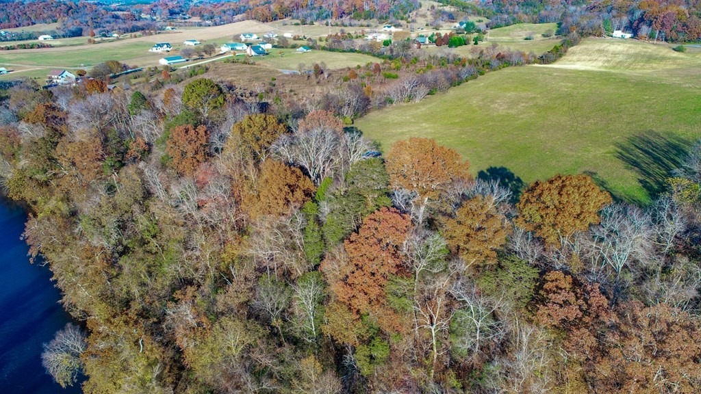 2041 Bluff Road Parrottsville, TN 37843 - Photo 14 of 38 Gallery Image 14