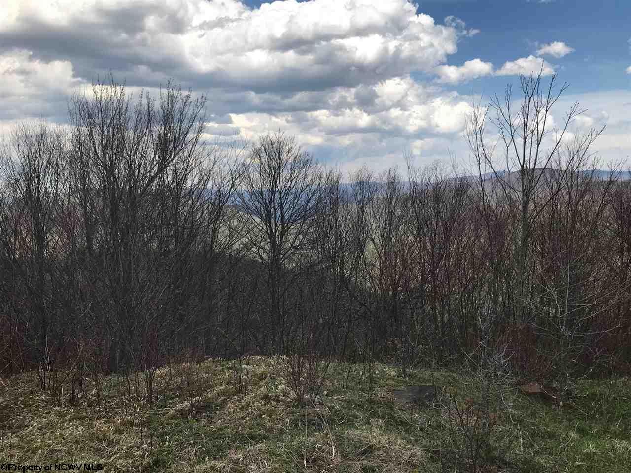 0 Haines Knob Road Harman, WV 26270 - Photo 12 of 20 Gallery Image 12