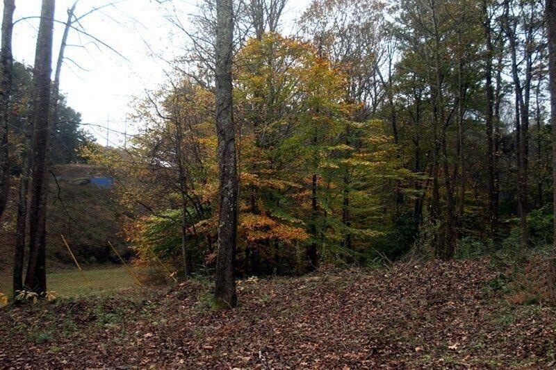 511 Fontaine Road Southwest Mableton, GA 30126 - Photo 2 of 11 a view of a yard with plants and trees