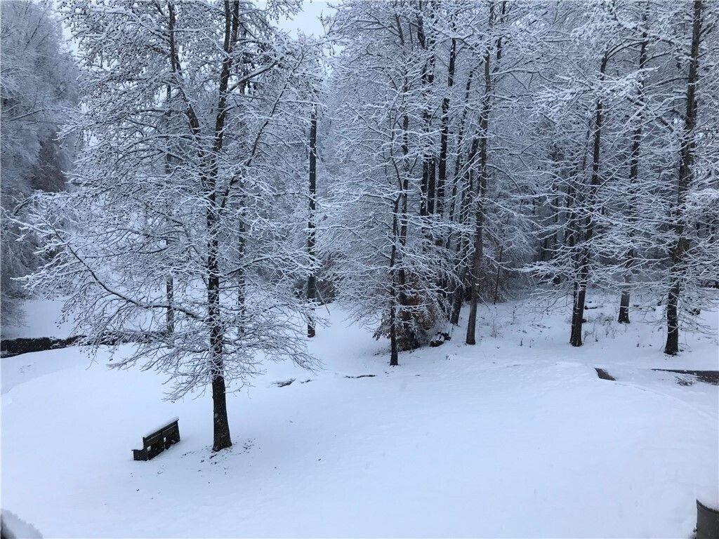 511 Fontaine Road Southwest Mableton, GA 30126 - Photo 4 of 11 a view of empty room with a tree