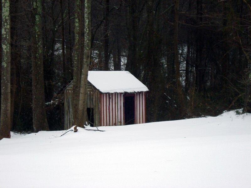 511 Fontaine Road Southwest Mableton, GA 30126 - Photo 5 of 11 a backyard of a house
