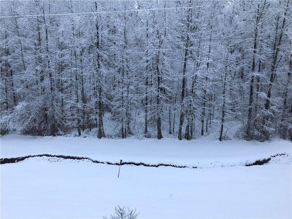 511 Fontaine Road Southwest Mableton, GA 30126 - Photo 6 of 11 a view of a dry yard