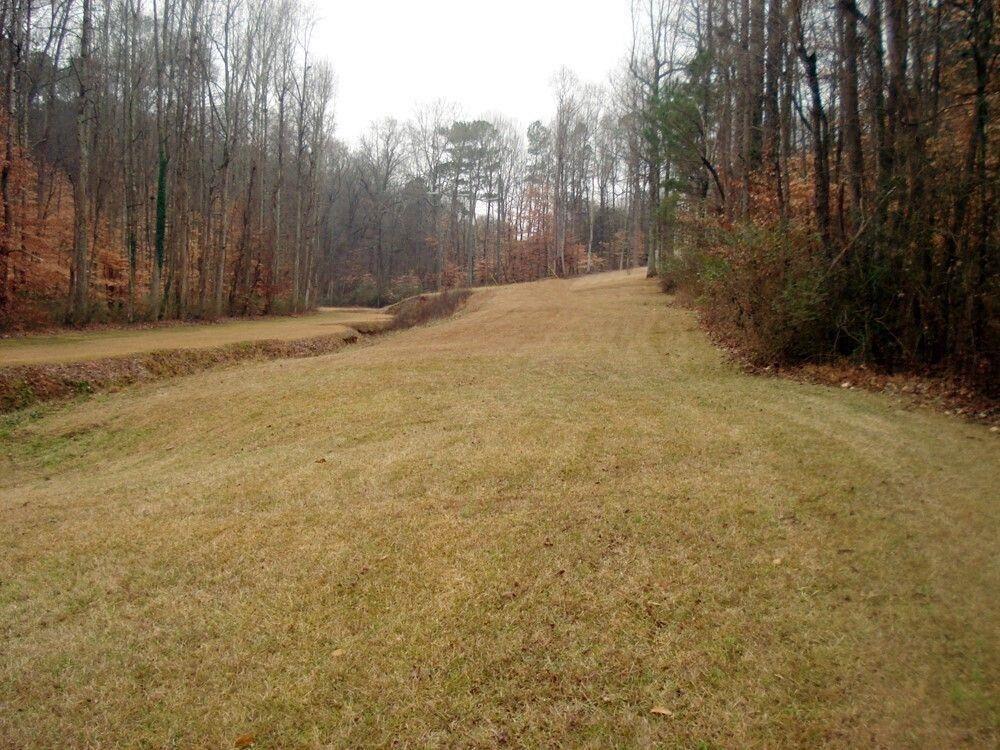 511 Fontaine Road Southwest Mableton, GA 30126 - Photo 9 of 11 a view of a yard with trees
