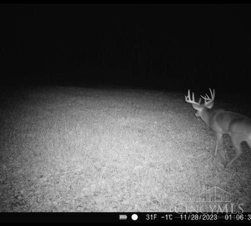 0 Us Rt 50 Bainbridge, OH 45612 - Photo 28 of 29 28