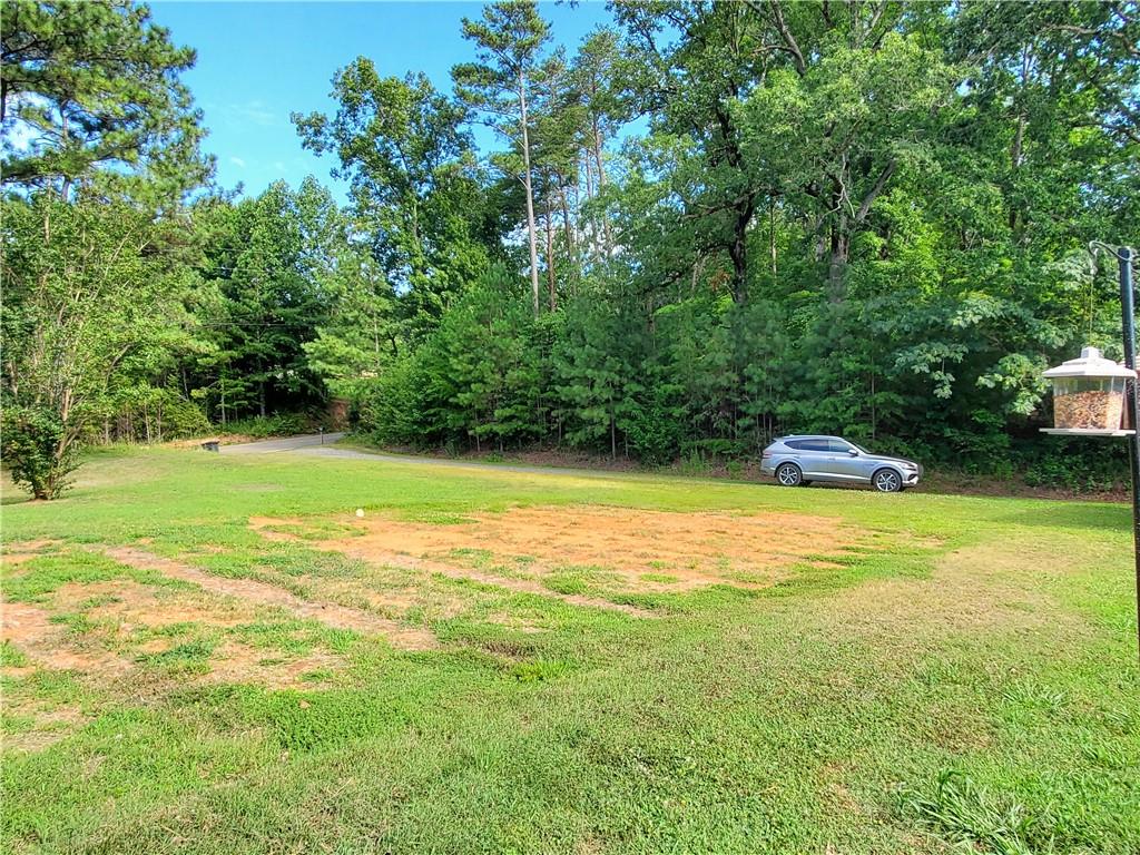 385 McClain Mountain Road Jasper, GA 30143 - Photo 33 of 61