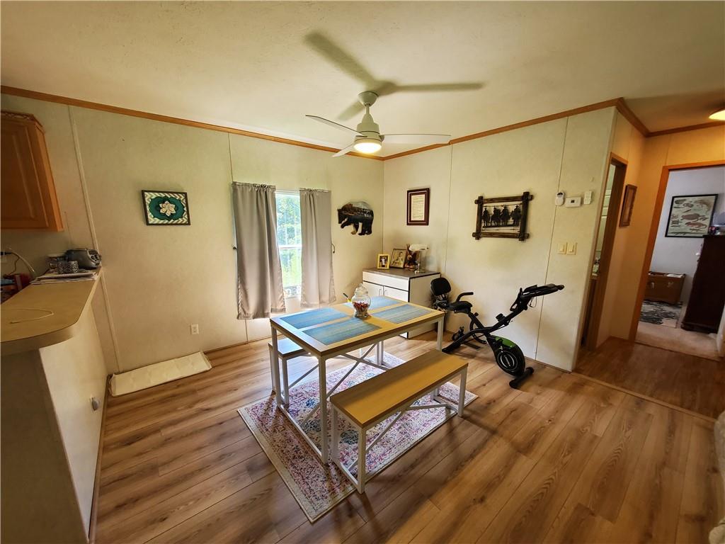 385 McClain Mountain Road Jasper, GA 30143 - Photo 4 of 61