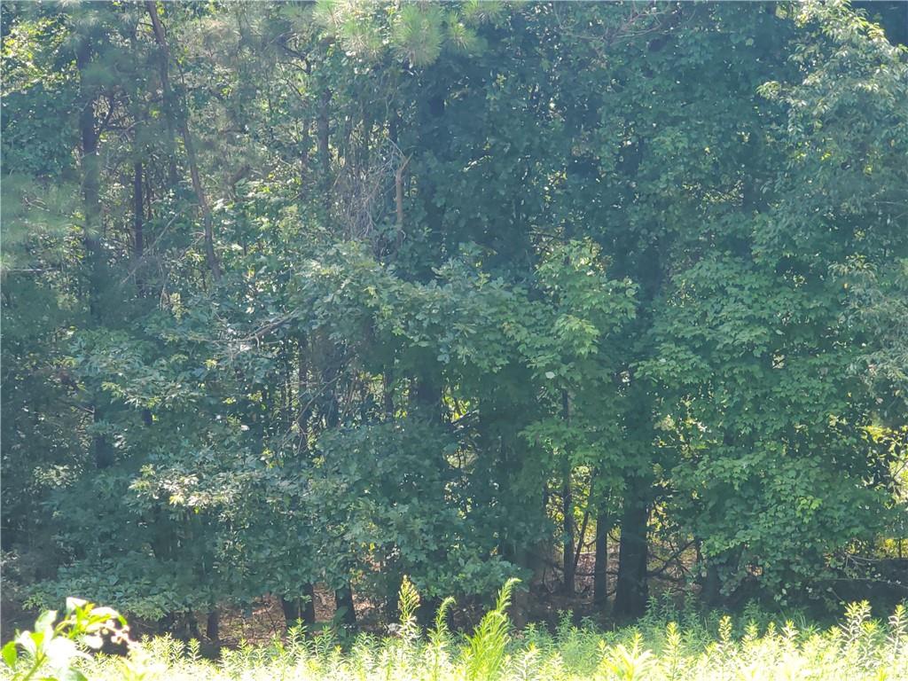 385 McClain Mountain Road Jasper, GA 30143 - Photo 51 of 61