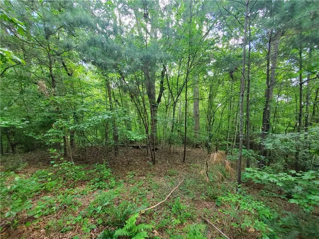 $339,900 | 385 McClain Mountain Road, Jasper, GA 30143