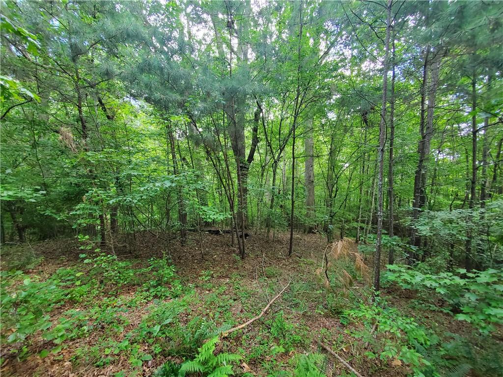 385 McClain Mountain Road Jasper, GA 30143 - Photo 56 of 61