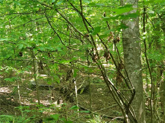 $339,900 | 385 McClain Mountain Road, Jasper, GA 30143