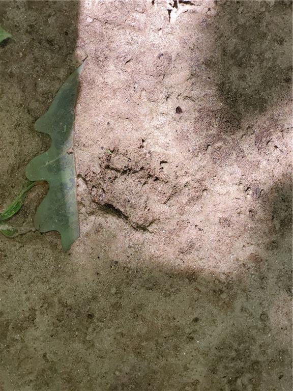 385 McClain Mountain Road Jasper, GA 30143 - Photo 60 of 61