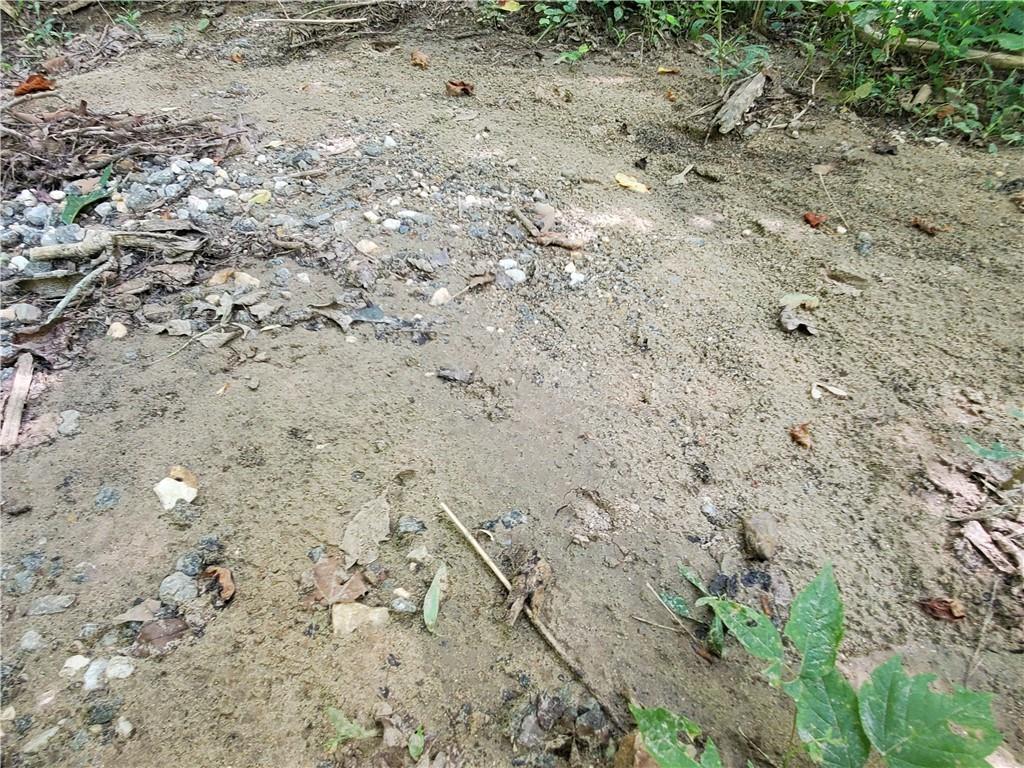 385 McClain Mountain Road Jasper, GA 30143 - Photo 61 of 61