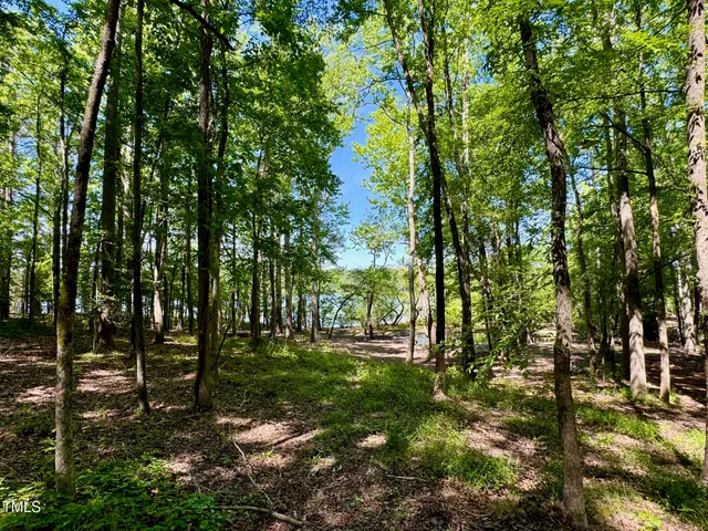 a view of outdoor space yard and green space