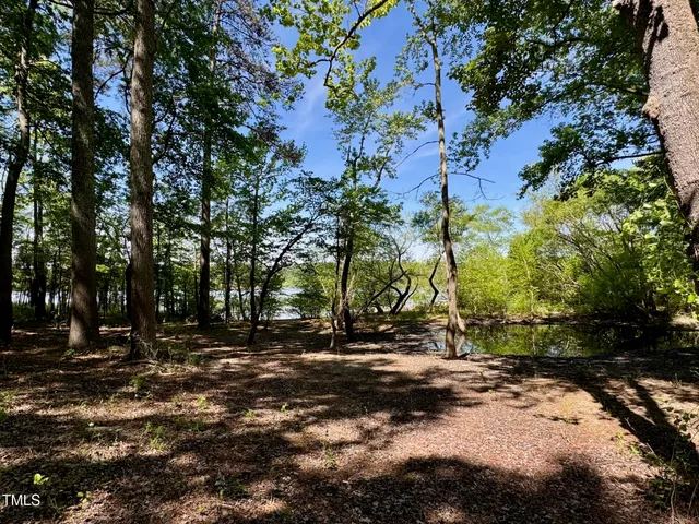 a view of outdoor space with yard