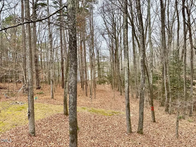 a view of park with trees