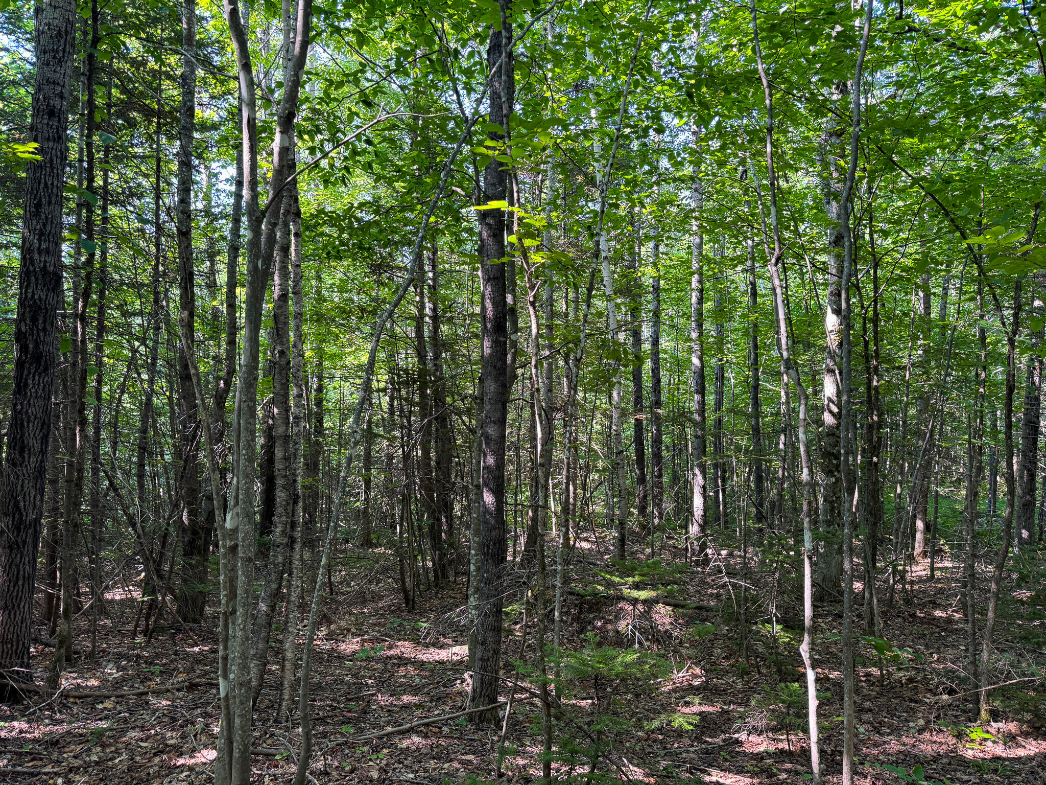 M8-l4 Mountain Road Mount Chase, ME 04765 - Photo 23 of 35 23