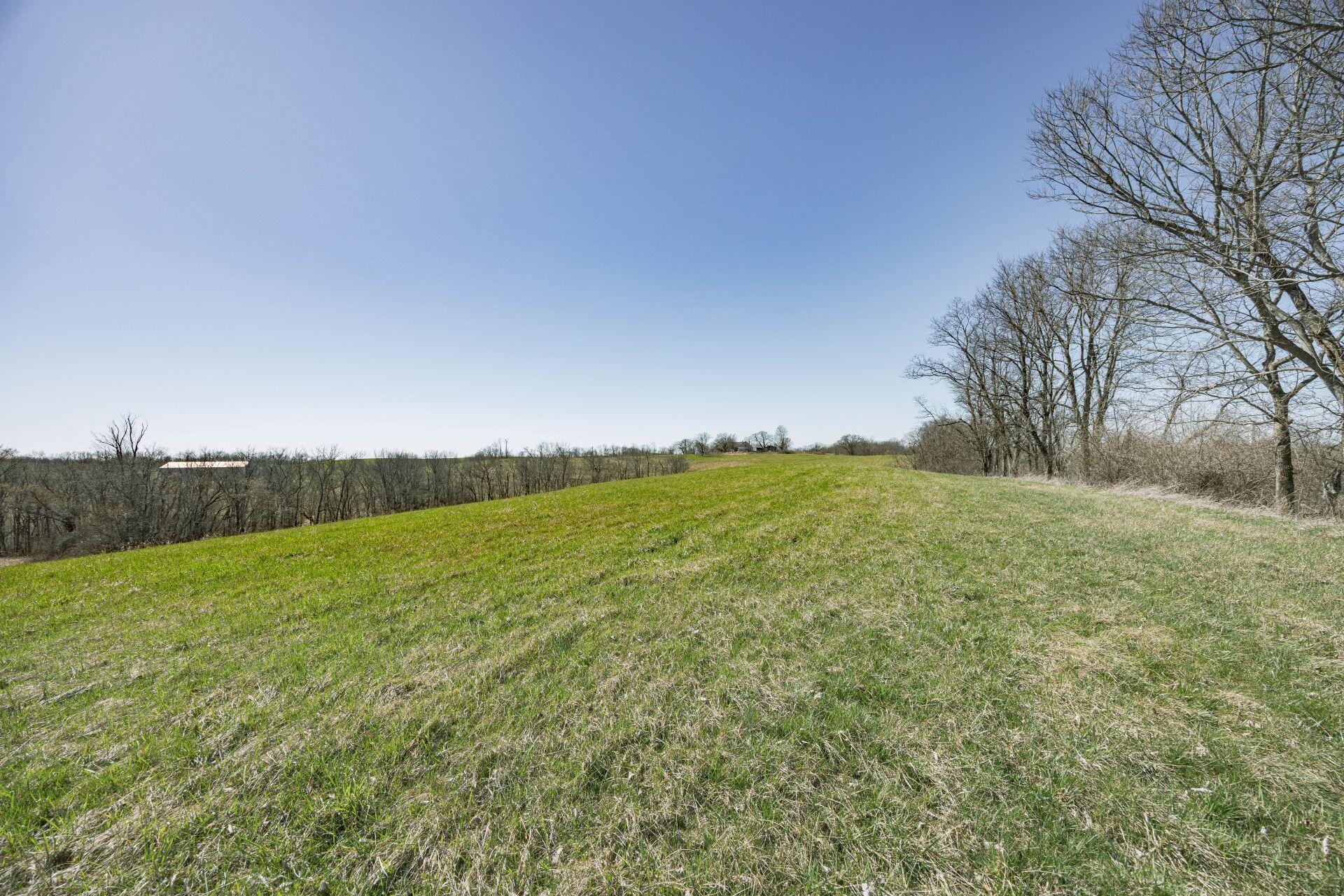 1300 Lower Concord Road Carlisle, KY 40311 - Photo 29 of 41 5B5A1206
