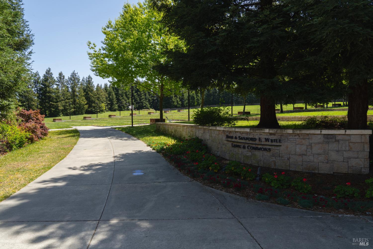 5533 Kennedy Place Rohnert Park, CA 94928 - Photo 59 of 63 a view of a park with large trees