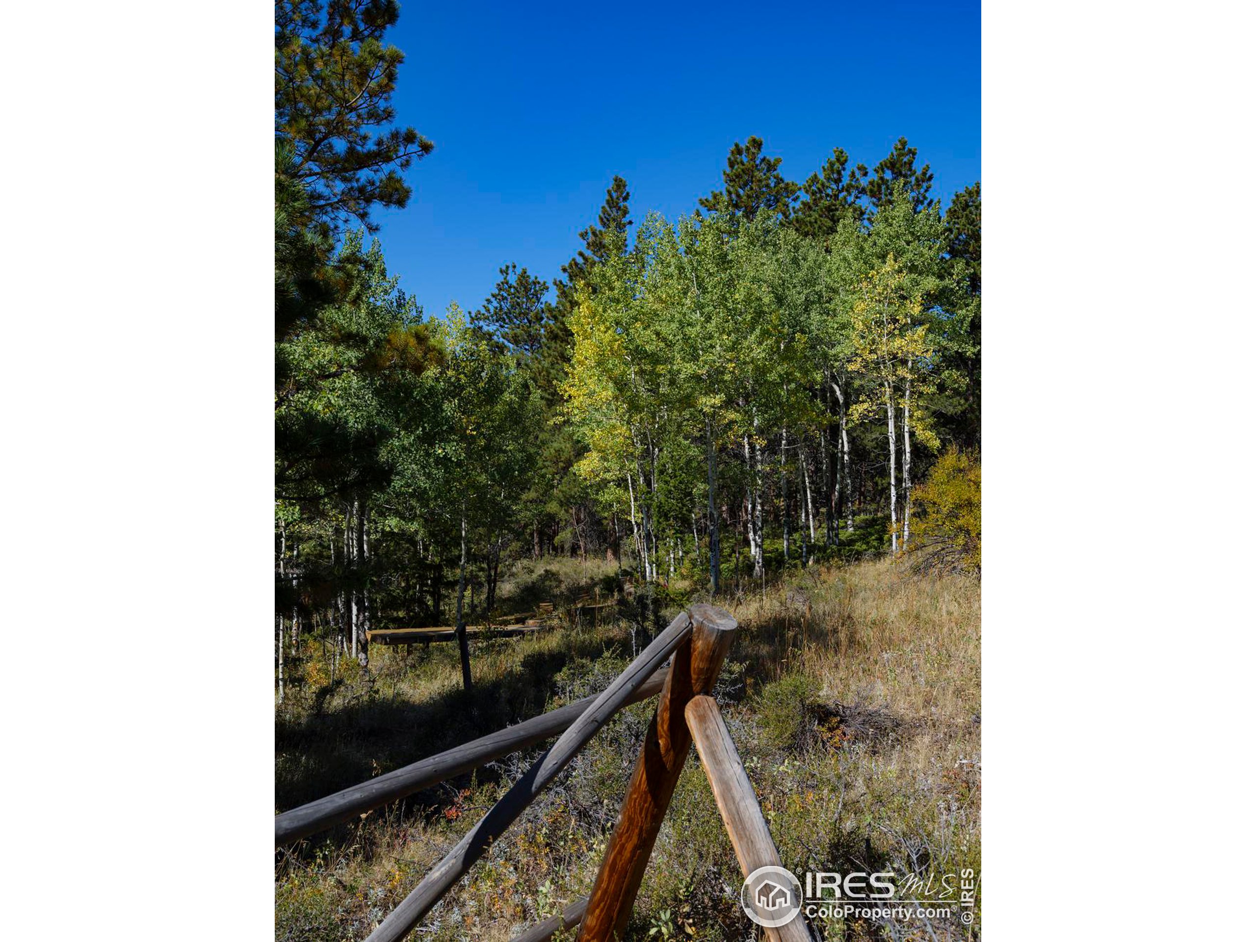 16 Ridge View Road Nederland, CO 80466 - Photo 21 of 30