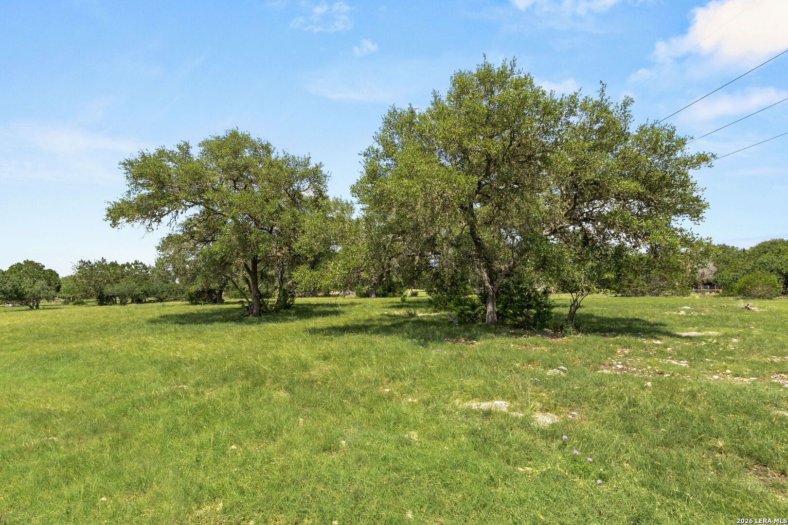 321 Lantana Ridge Spring Branch, TX 78070 - Photo 26 of 34